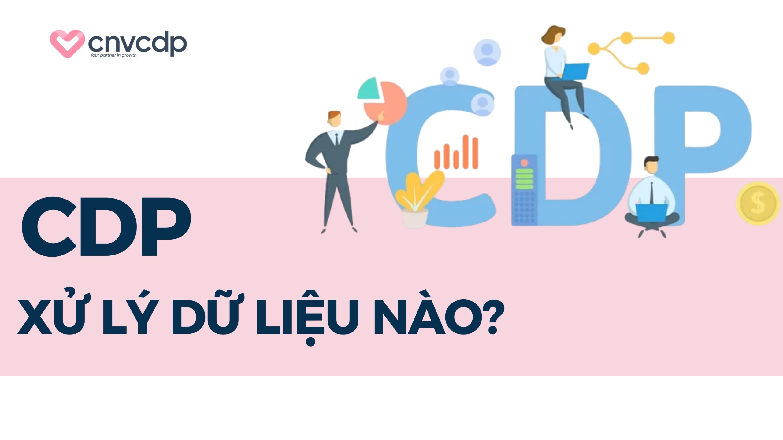 CDP là gì? So sánh CDP với DMP và CRM 5 CDP thu thập và xử lý những dữ liệu khách hàng nào