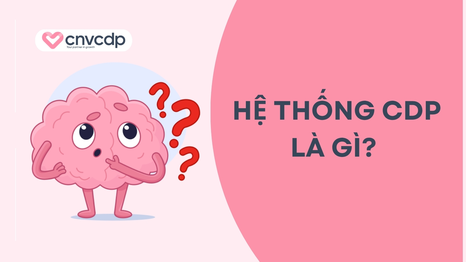 Hệ thống CDP là gì