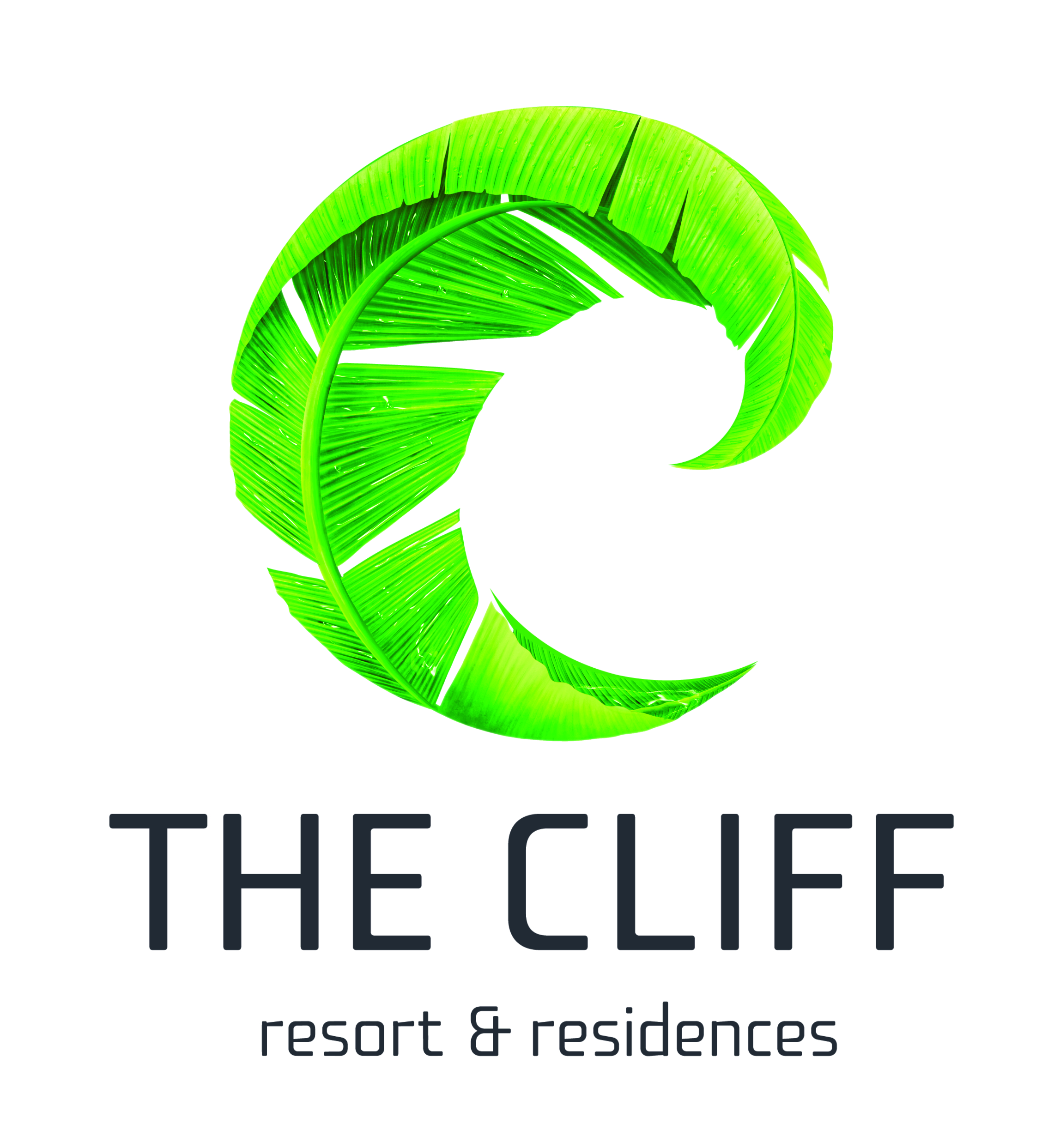 logo the cliff 3d 636827316034447345
