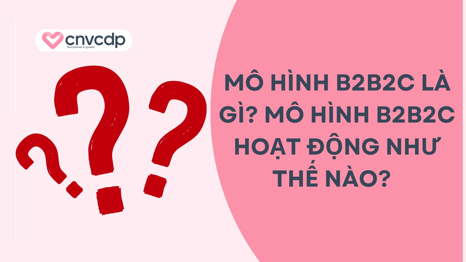 Mô hình B2B2C là gì? Mô hình B2B2C hoạt động như thế nào