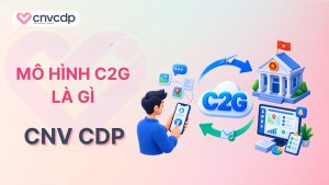 Mô hình C2G là gì