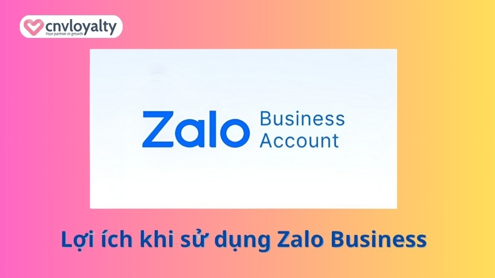 Tài khoản Zalo Business là gì? Miễn phí bao lâu? 12 Những lợi ích khi sử dụng tài khoản Zalo Business