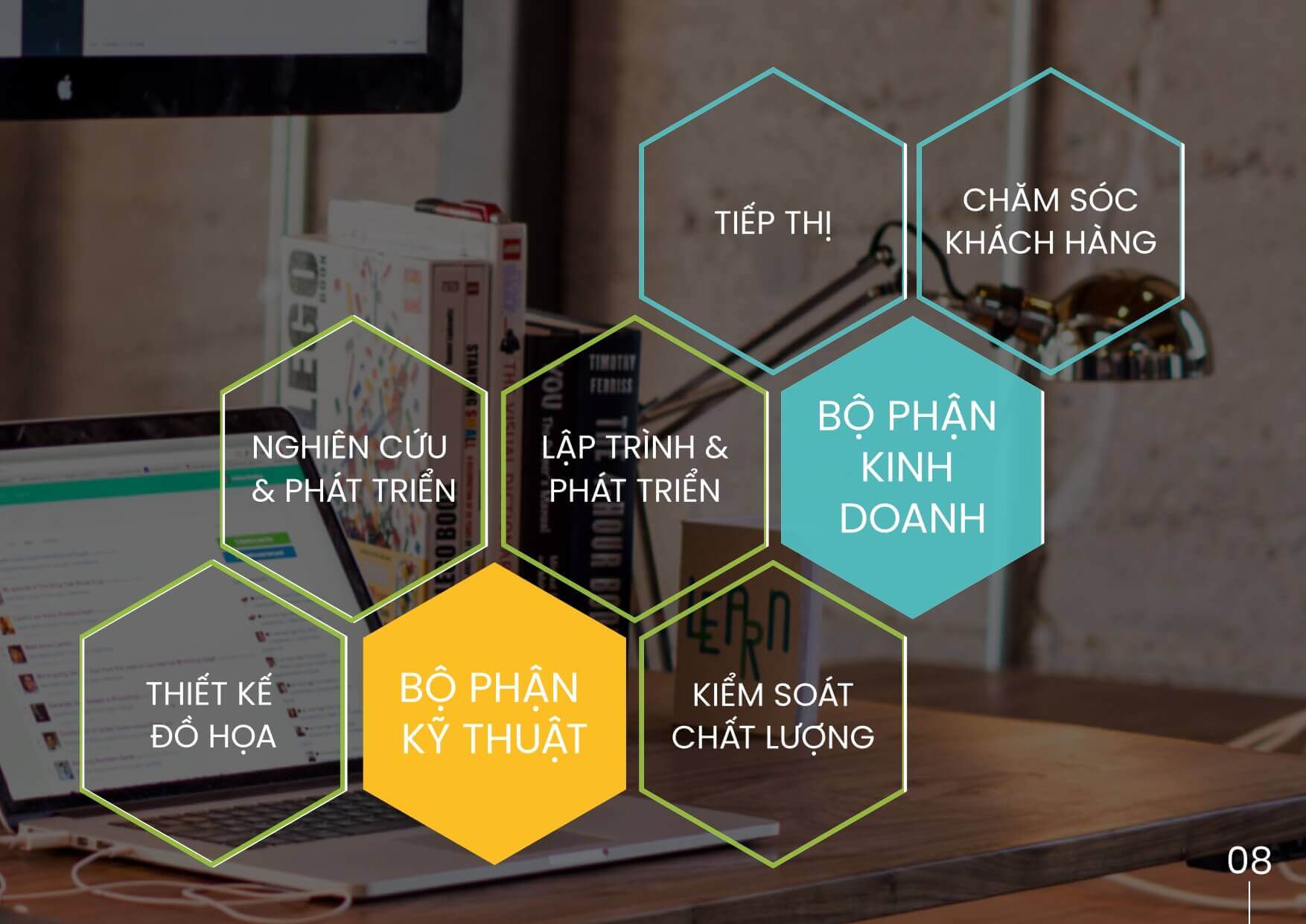 Hồ sơ năng lực CNV