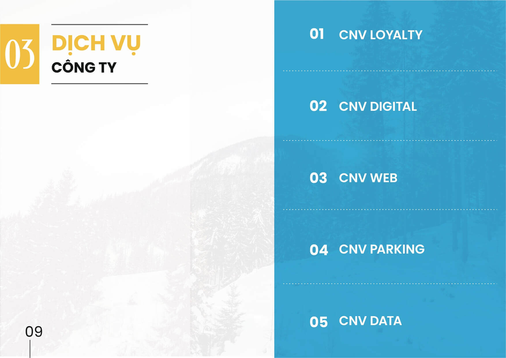 Hồ sơ năng lực CNV