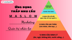 tháp nhu cầu Maslow trong kinh doanh