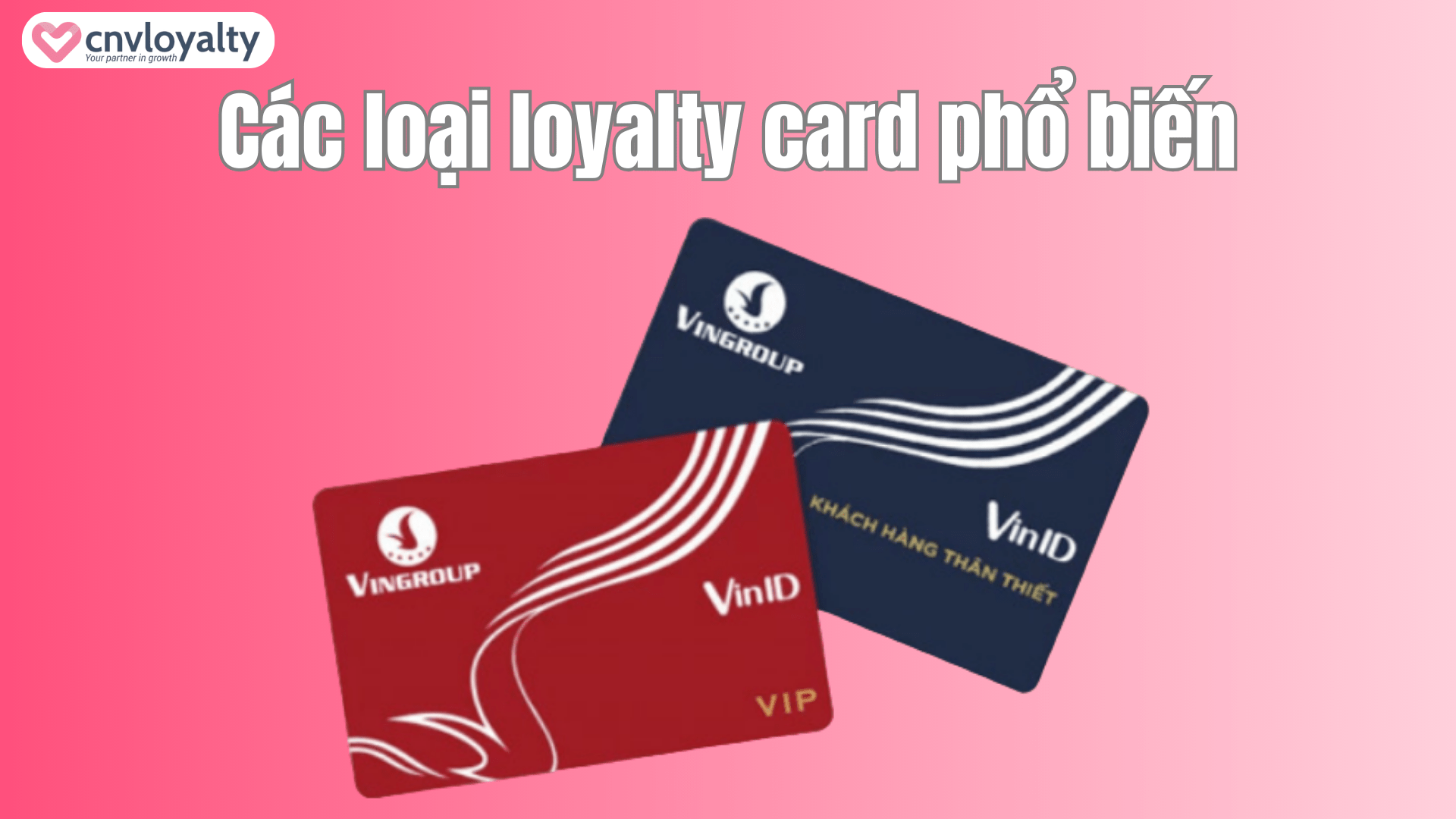 Các loại loyalty card phổ biến