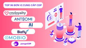TOP 6 Đơn vị cung cấp CDP tại Việt Nam