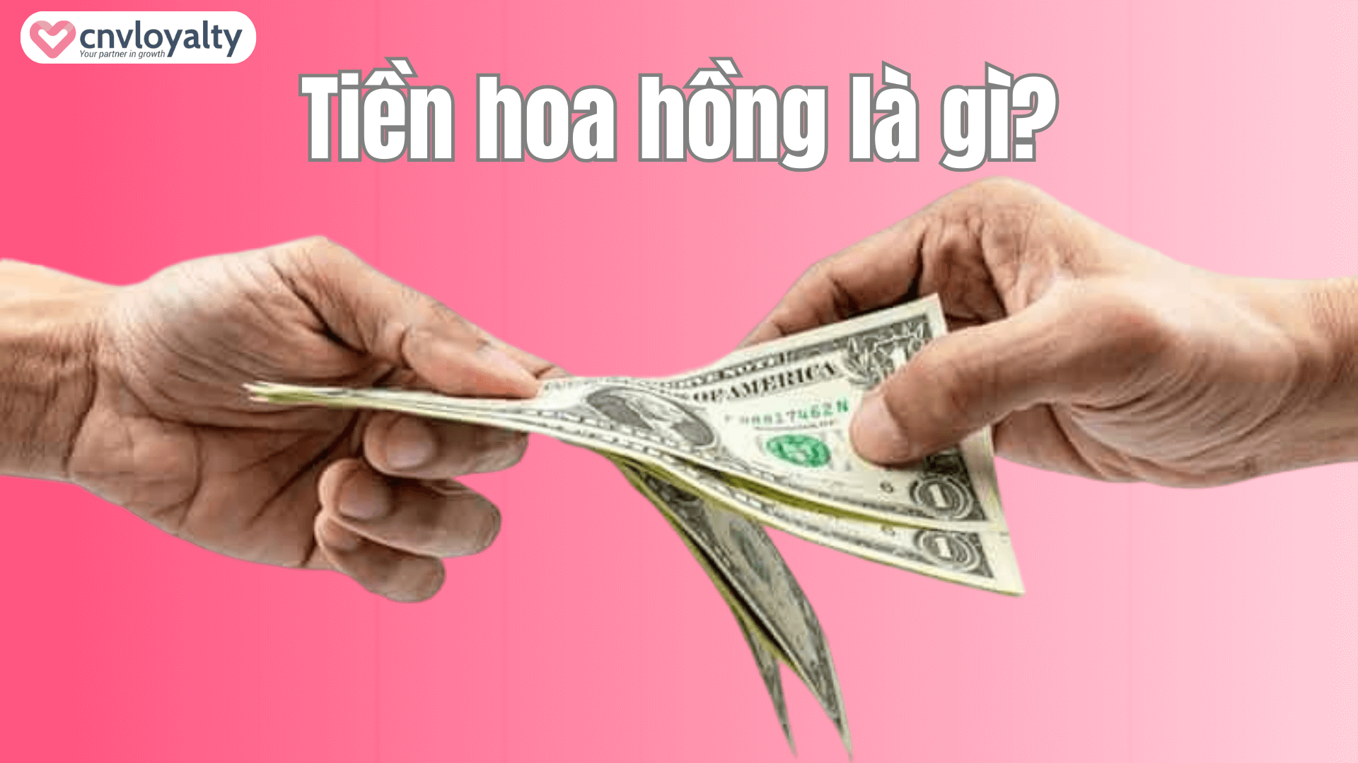 Tiền hoa hồng là gì