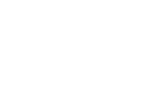 CDP Marketing Automation