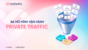 Ba Mô Hình Vận Hành Private Traffic System