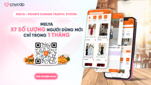 MELYA x Private Domain Traffic System