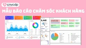 mau bao cao cham soc khach hang la gi