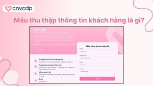 mau thu thap thong tin khach hang la gi