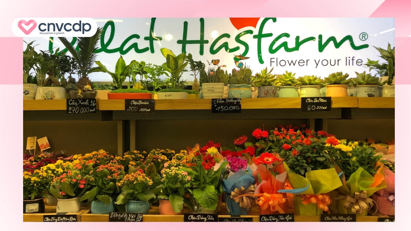 Cách đặt tên Shop hoa, cửa hàng hoa HAY ý nghĩa, độc đáo 11 vi du ve cua hang su dung ten shop hoa thanh cong