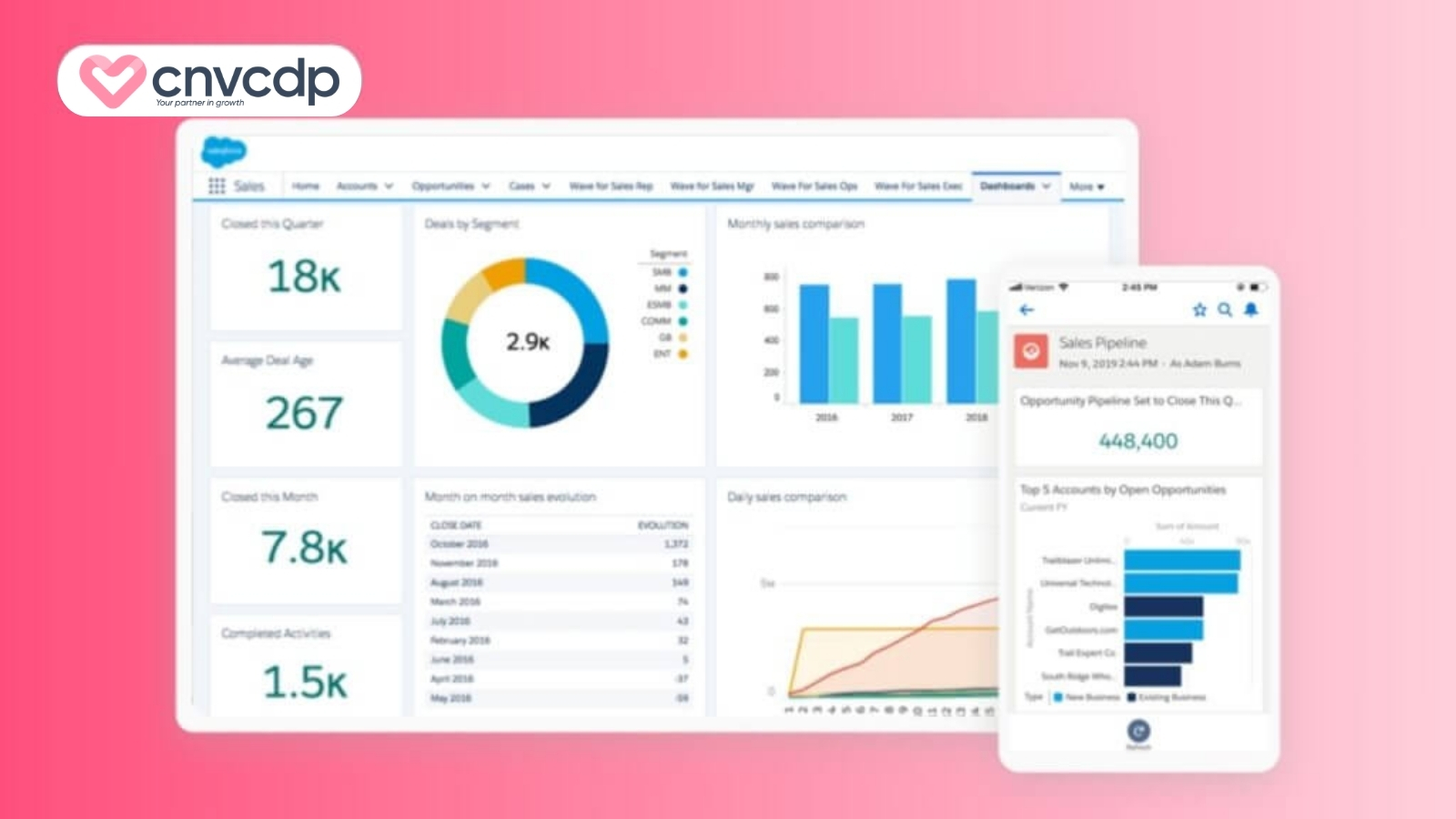 hệ thống phần mềm chăm sóc khách hàng salesforce Hệ thống phần mềm Salesforce