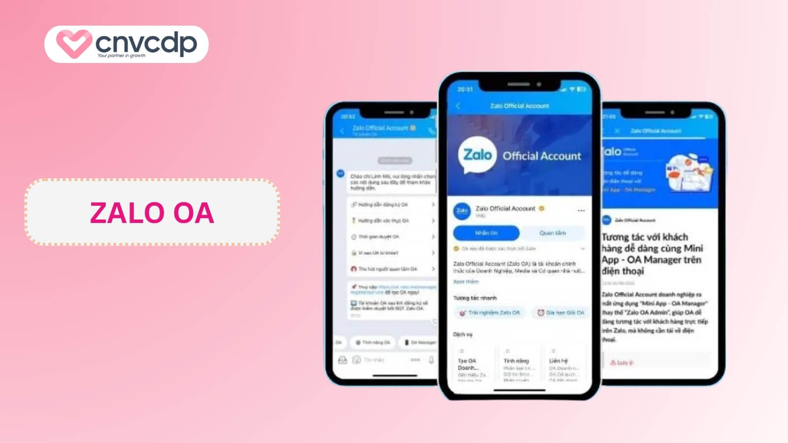 So sánh Zalo OA và Zalo Business, lựa chọn nào tối ưu cho doanh nghiệp? 3 Tai khoan Zalo OA
