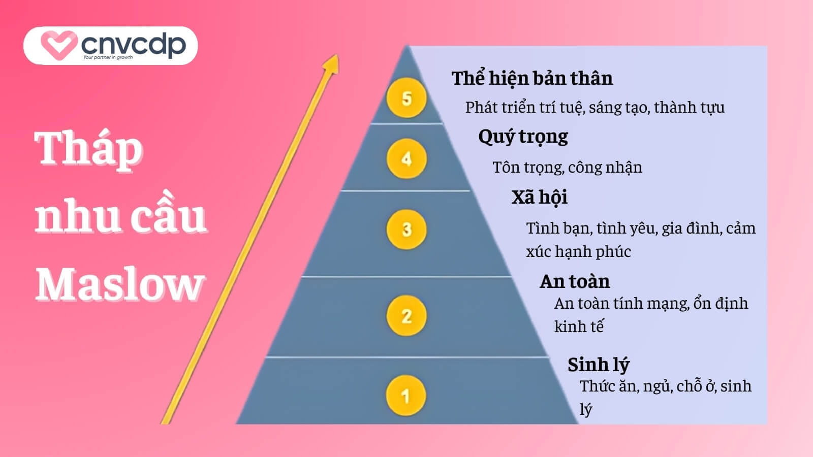 Hành vi khách hàng là gì? Những yếu tố ảnh hưởng đến hành vi khách hàng 7 Thap nhu cau Maslow
