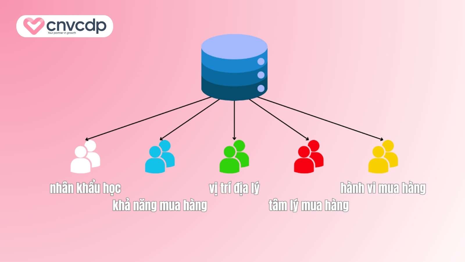 5+ cách phân loại khách hàng HIỆU QUẢ nhất 7 Top 5 cach phan loai khach hang