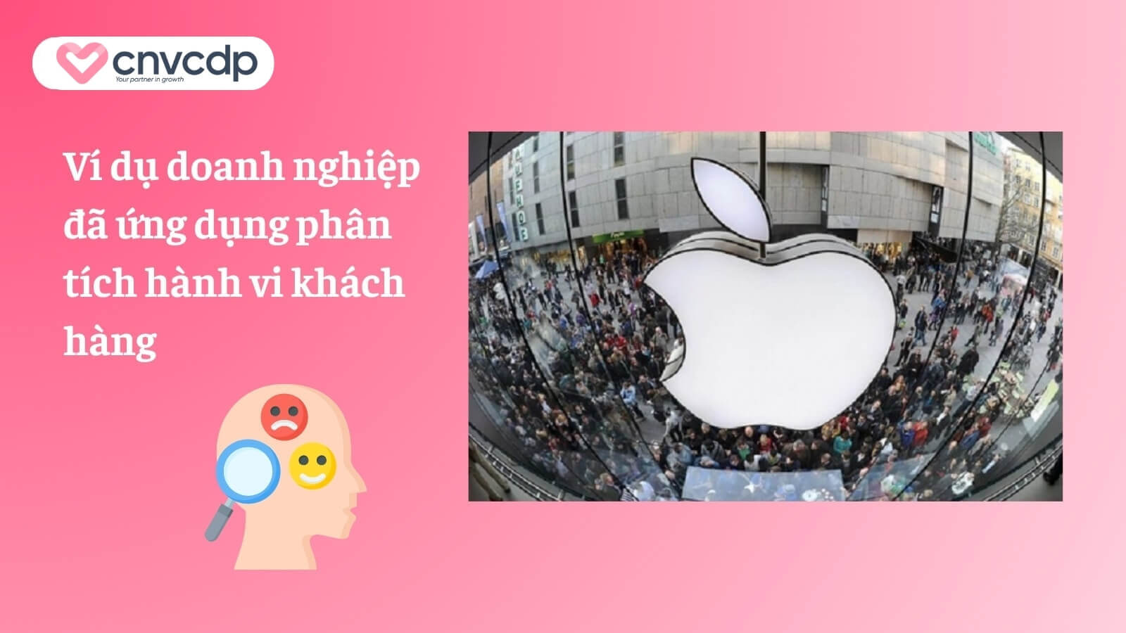 Hành vi khách hàng là gì? Những yếu tố ảnh hưởng đến hành vi khách hàng 13 Vi du doanh nghiep da ap dung phan tich khach hang