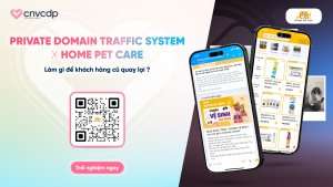 1 090925 CNVCDP template SEO 05 1