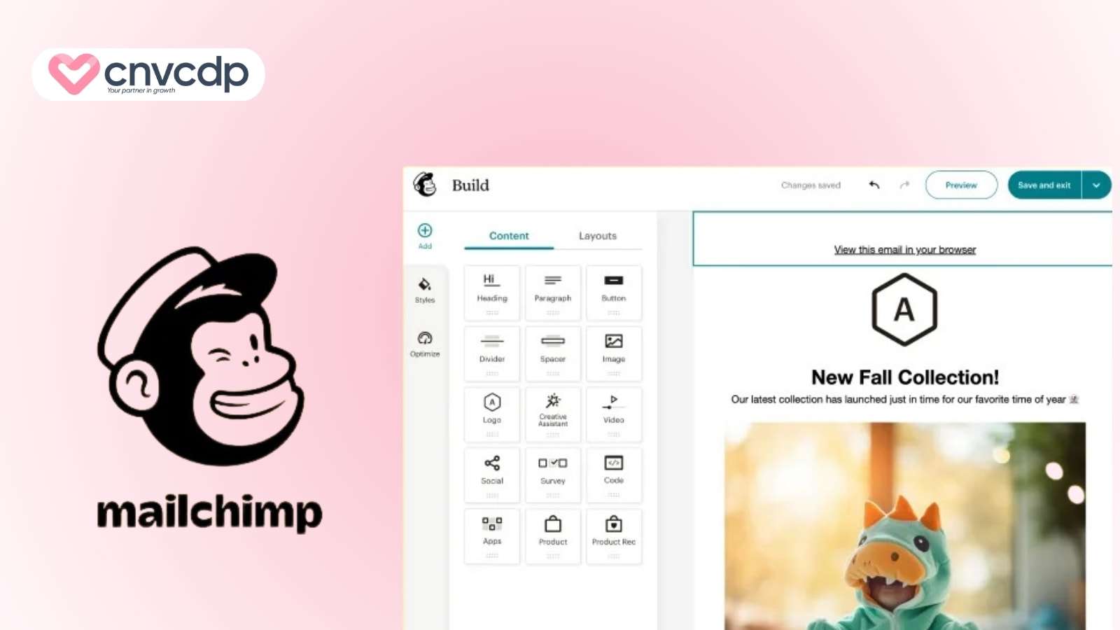 15+ phần mềm Email Marketing giá rẻ, dễ dùng, hiệu quả cao trong năm 2025 6 Mailchimp