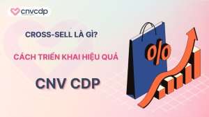 Nhu the nao la cross-sell