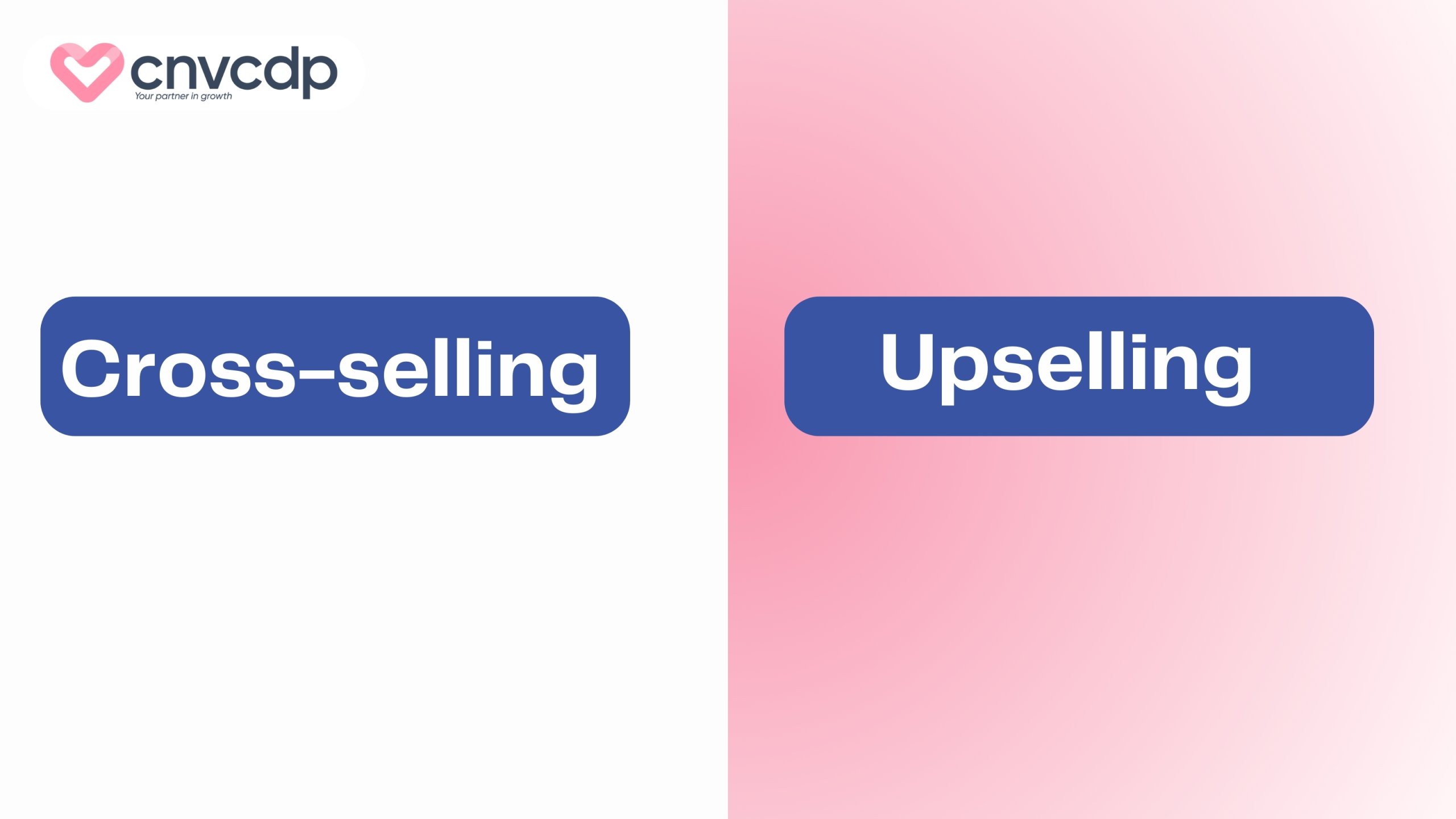 Cross-sell là gì và chiến thuật bán chéo tăng doanh thu bền vững 5 Phân biệt giữa Cross-selling và Upselling trong kinh doanh