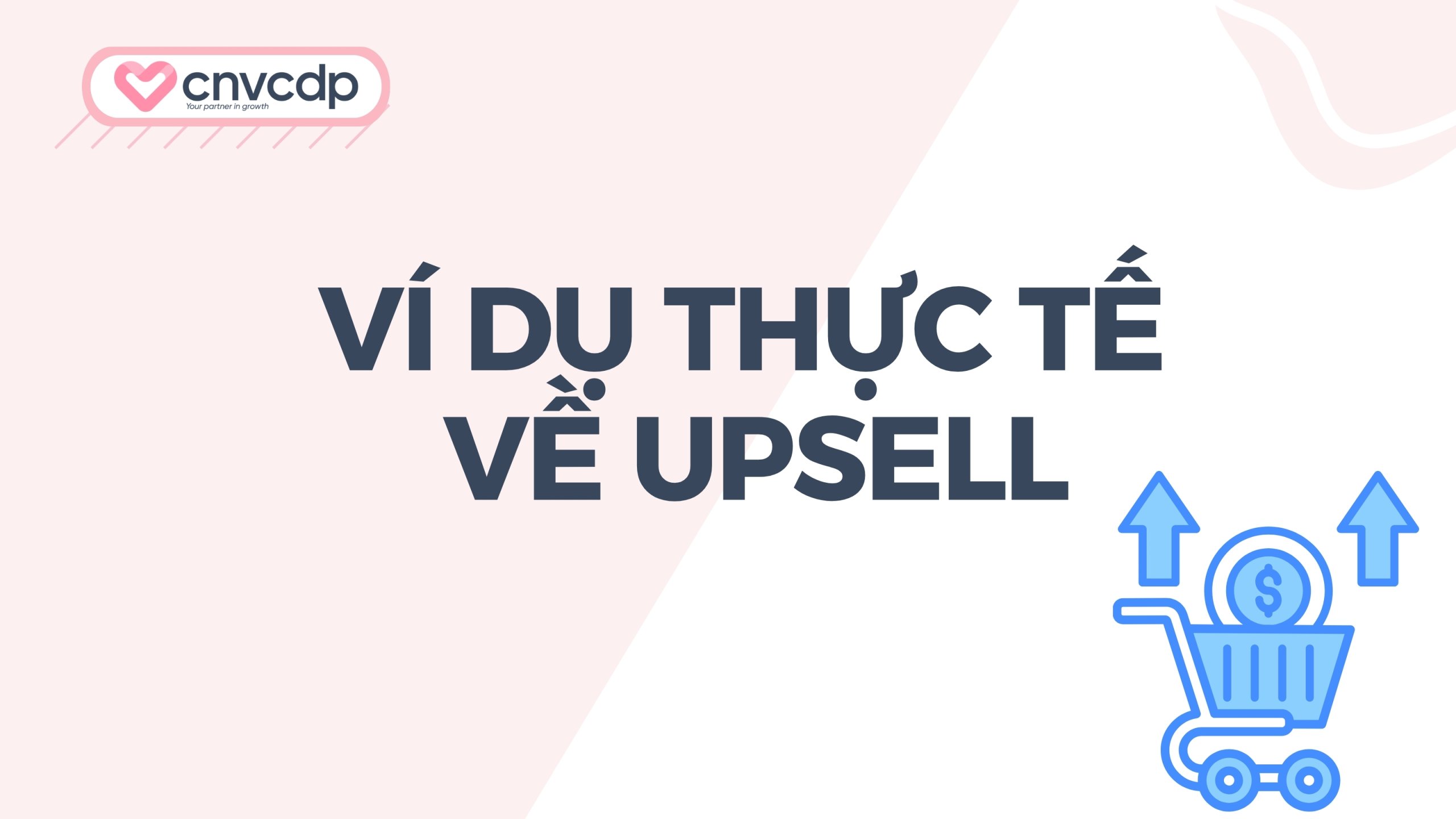 Upsell là gì? Chiến lược tăng doanh thu và giá trị đơn hàng 11 Ví dụ thực tế về upsell trong các ngành khác nhau