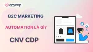 B2C Marketing Automation la gi