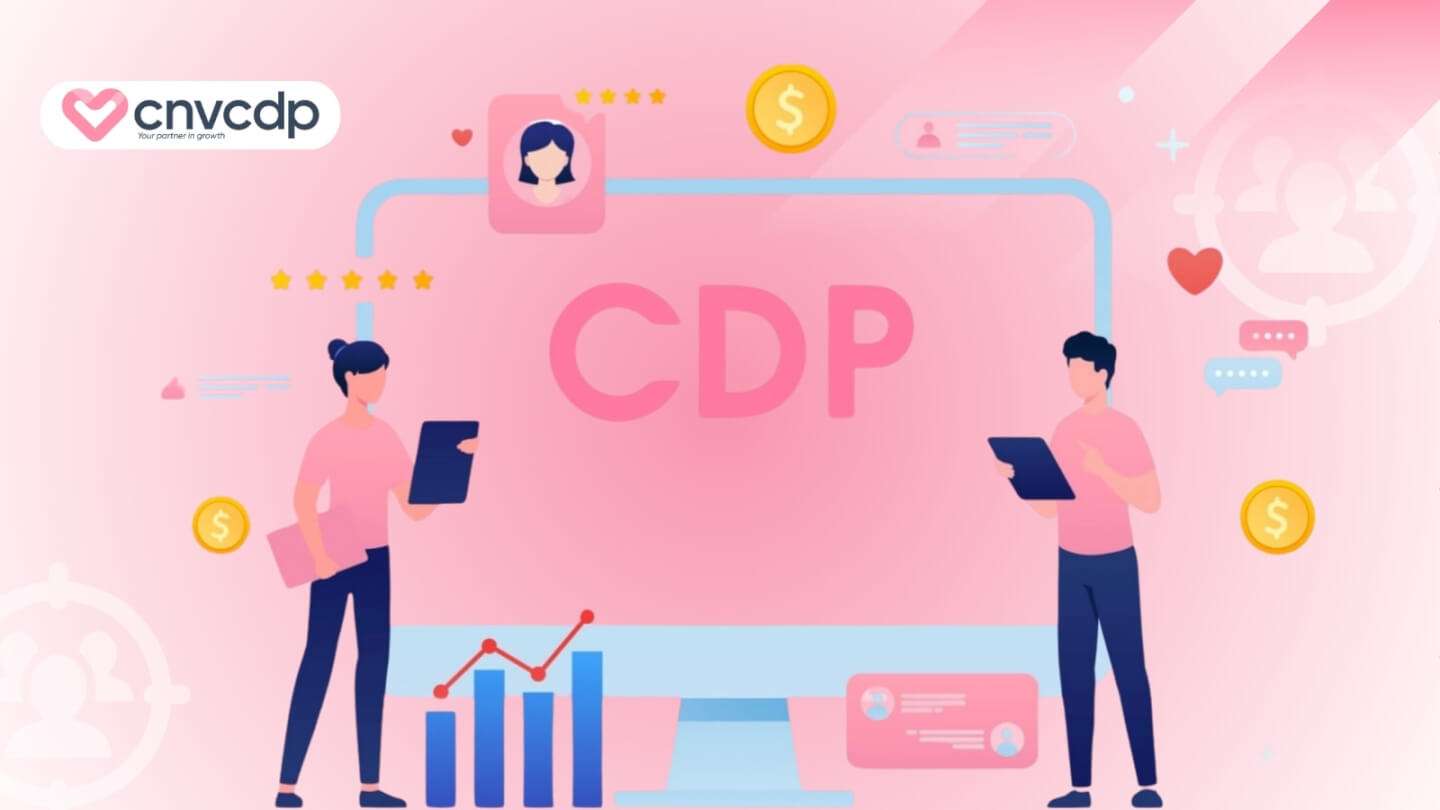 Mô hình D2C là gì? Lợi ích và lưu ý khi áp dụng mô hình kinh doanh D2C 13 Vi du thuc te CNV CDP da ap dung thanh cong