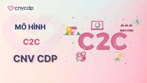 Mo hinh C2C