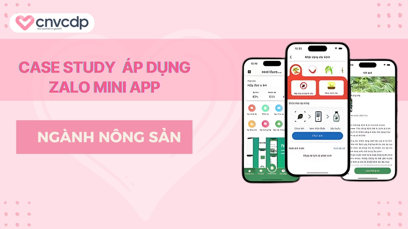 Case Study Thanh cong thuc te tu nganh nong san