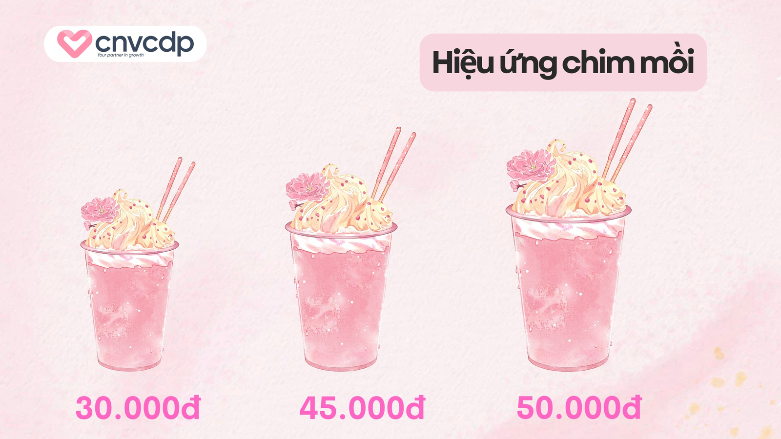 15 Hiệu ứng tâm lý trong Marketing phổ biến và cách ứng dụng 6 Hiệu ứng chim mồi