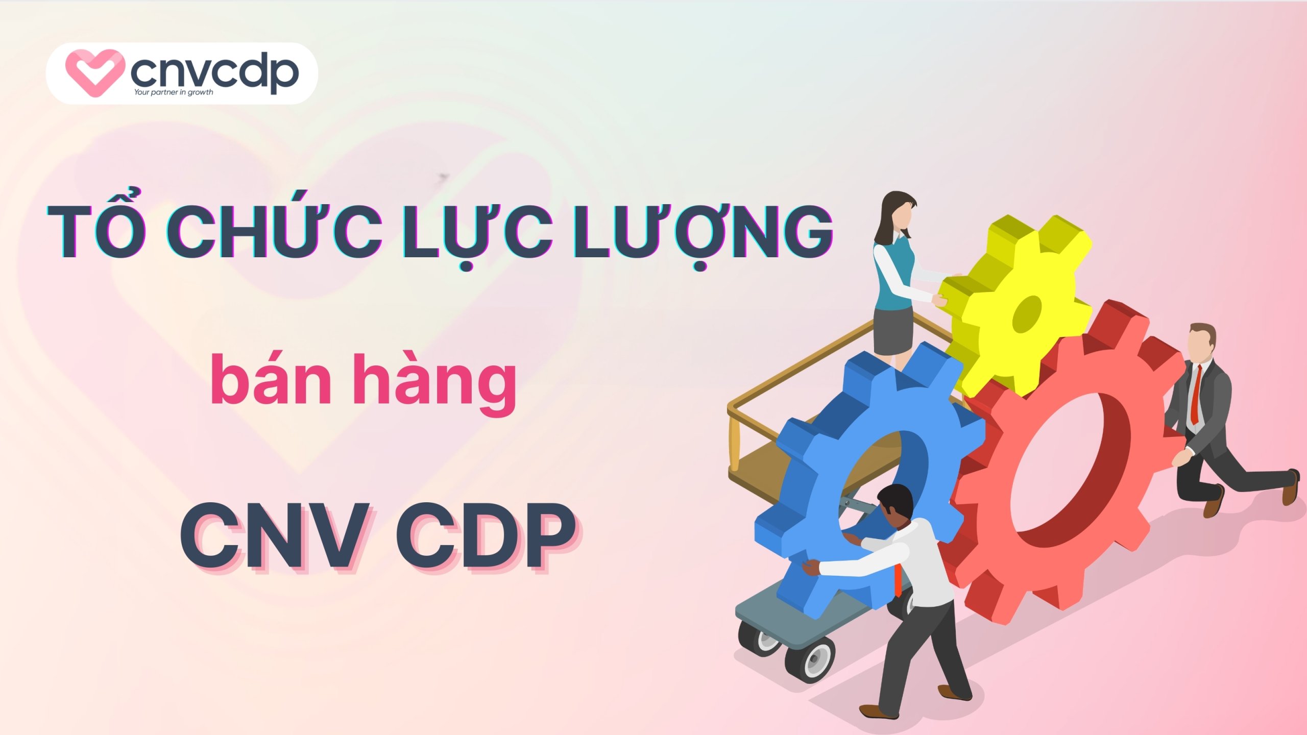 Mô hình tổ chức lực lượng bán hàng trong môi trường B2B 2 Tổ chức lực lượng bán hàng