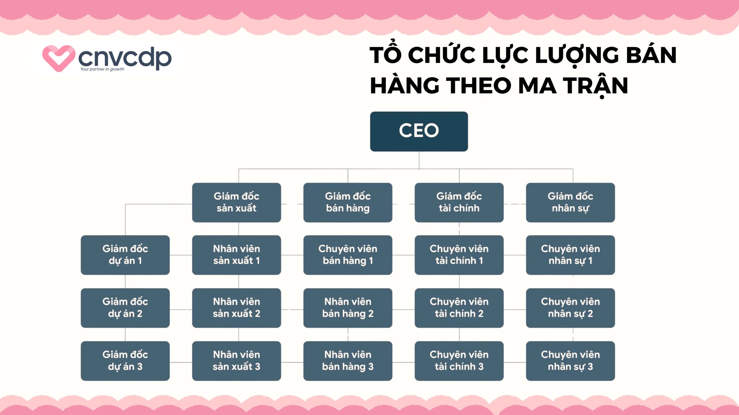 Mô hình tổ chức lực lượng bán hàng trong môi trường B2B 9 Tổ chức lực lượng bán hàng theo ma trận
