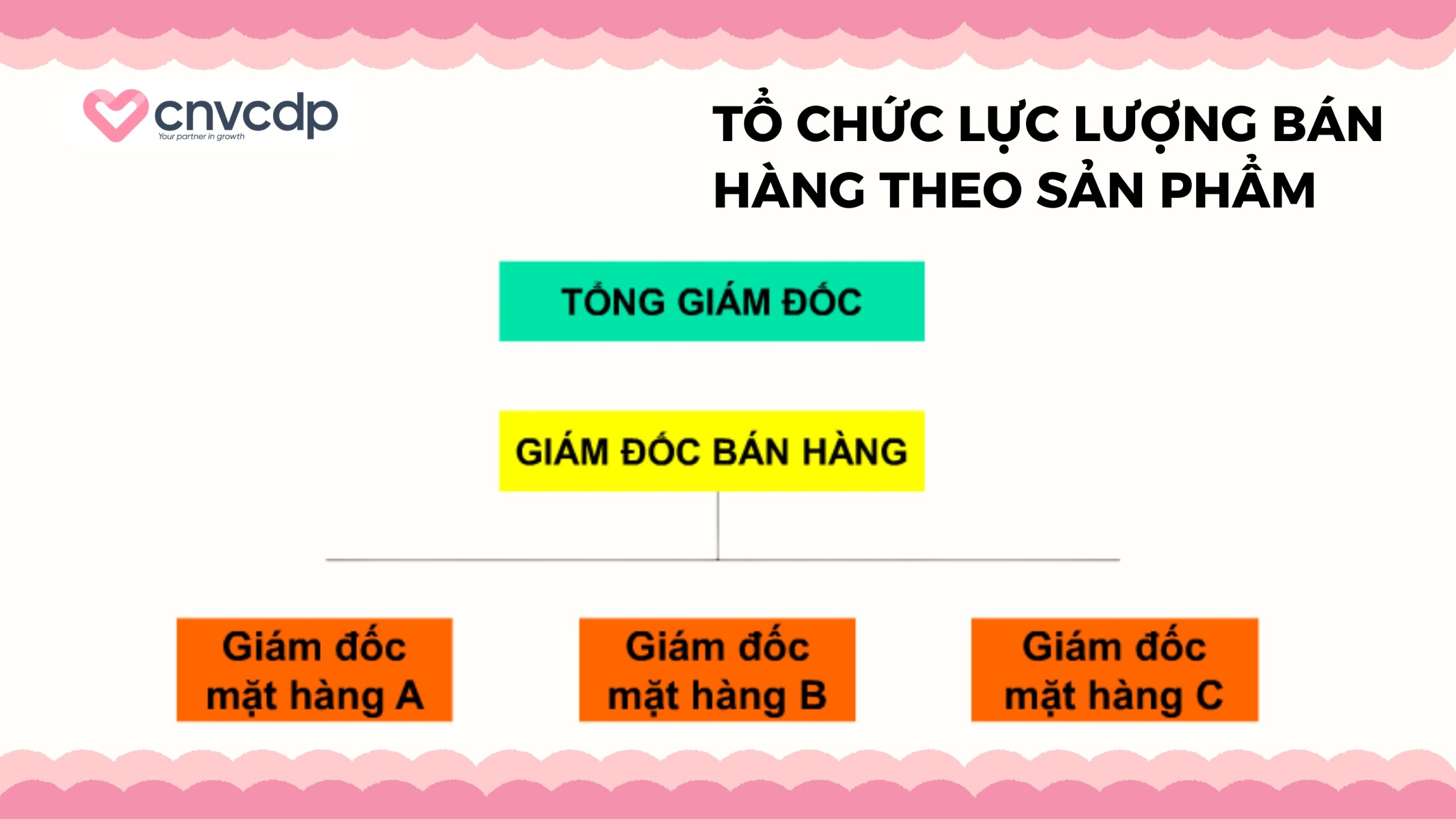 Mô hình tổ chức lực lượng bán hàng trong môi trường B2B 6 Tổ chức lực lượng bán hàng theo sản phẩm