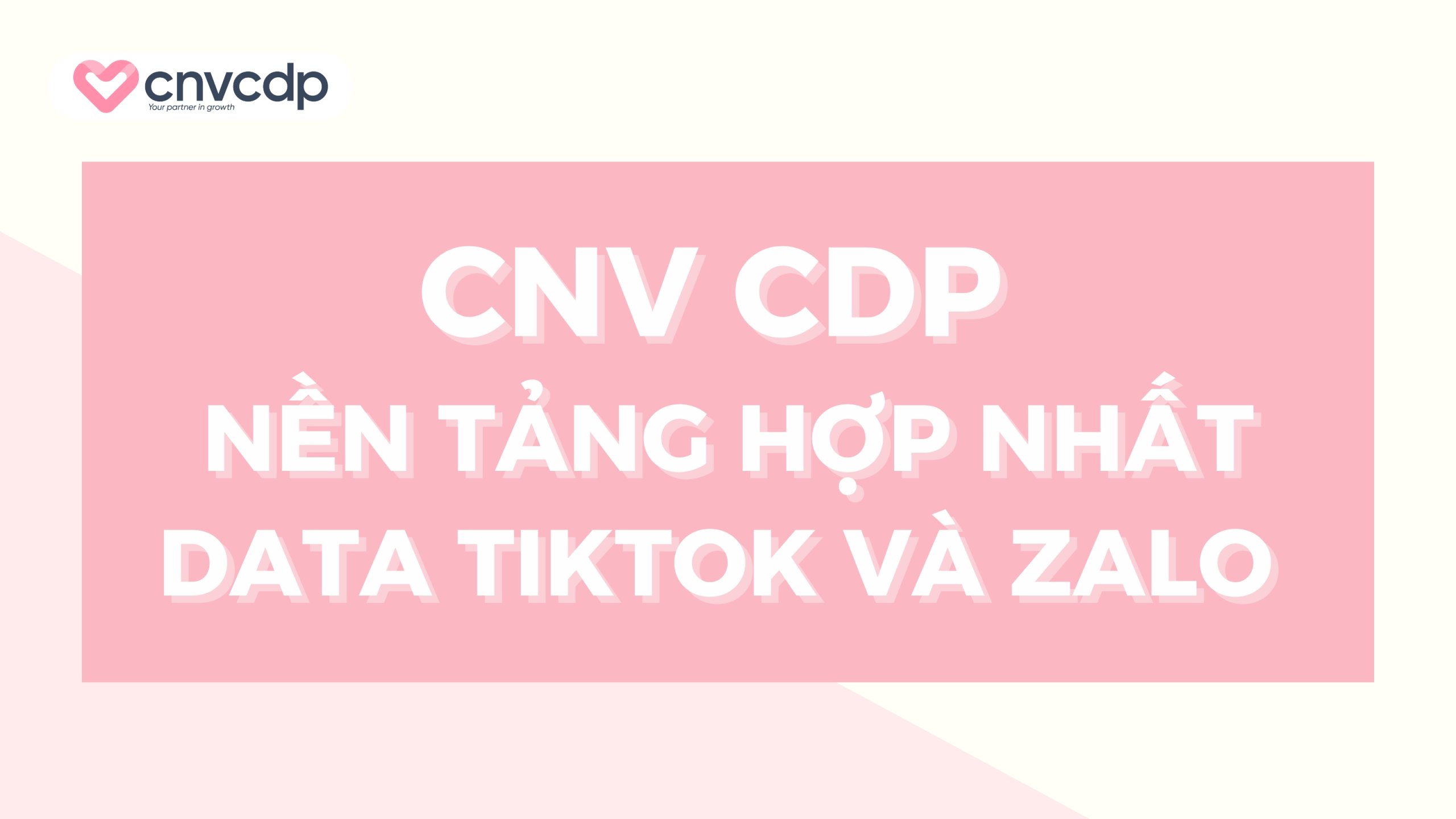 CNV CDP – Nền tảng hợp nhất Data TikTok và Zalo cho doanh nghiệp 