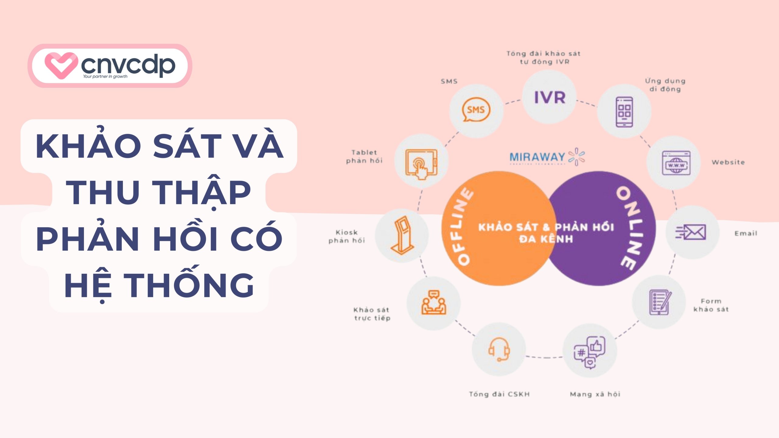 Khảo sát và thu thập phản hồi có hệ thống