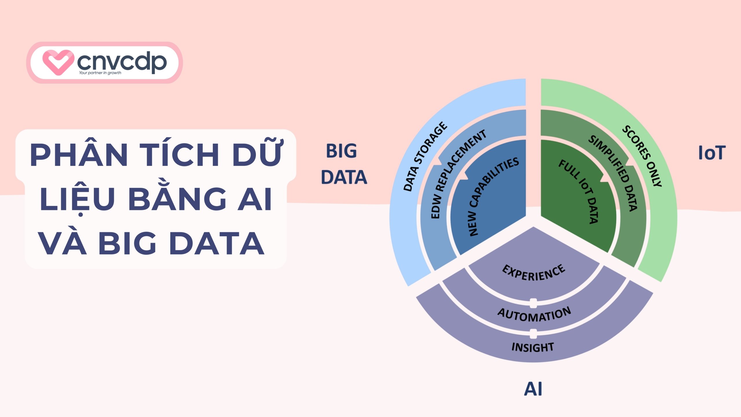 Phân tích dữ liệu bằng AI và Big Data 