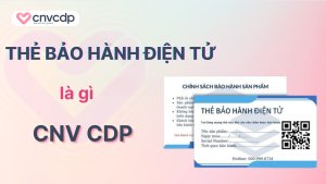 The bao hanh dien tu la gi