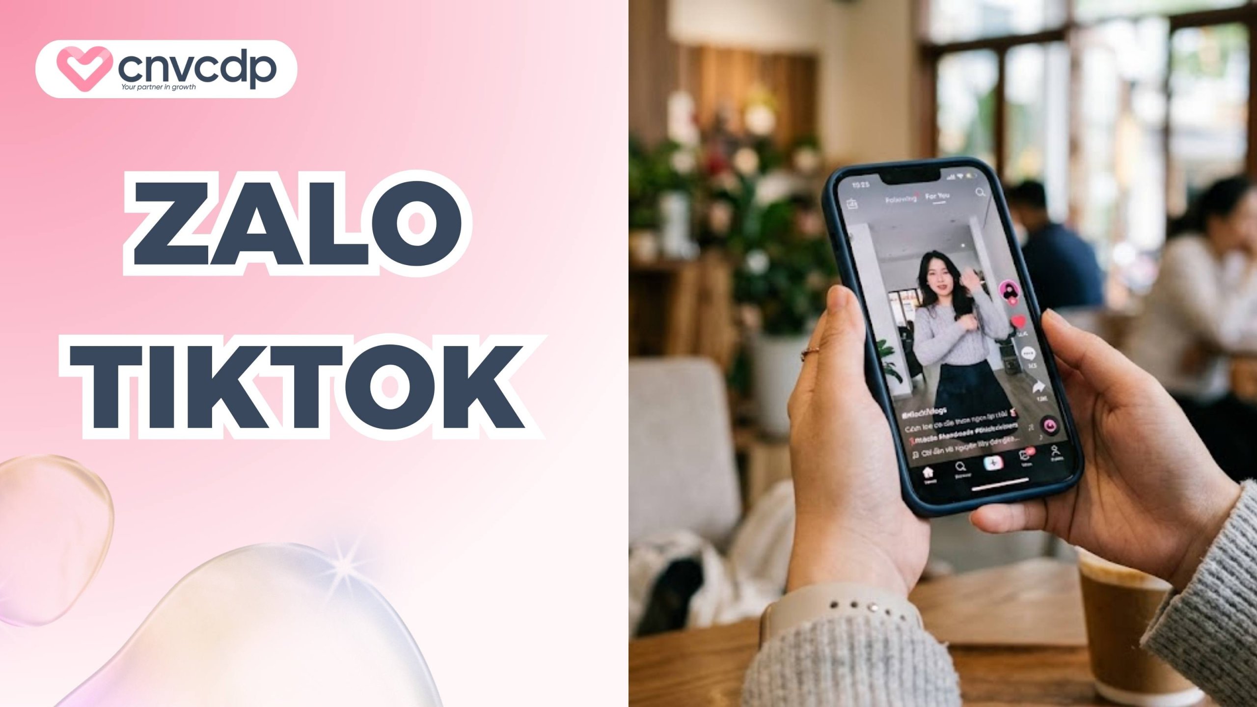 zalo va tiktok co the lien ket truc tiep duoc khong scaled