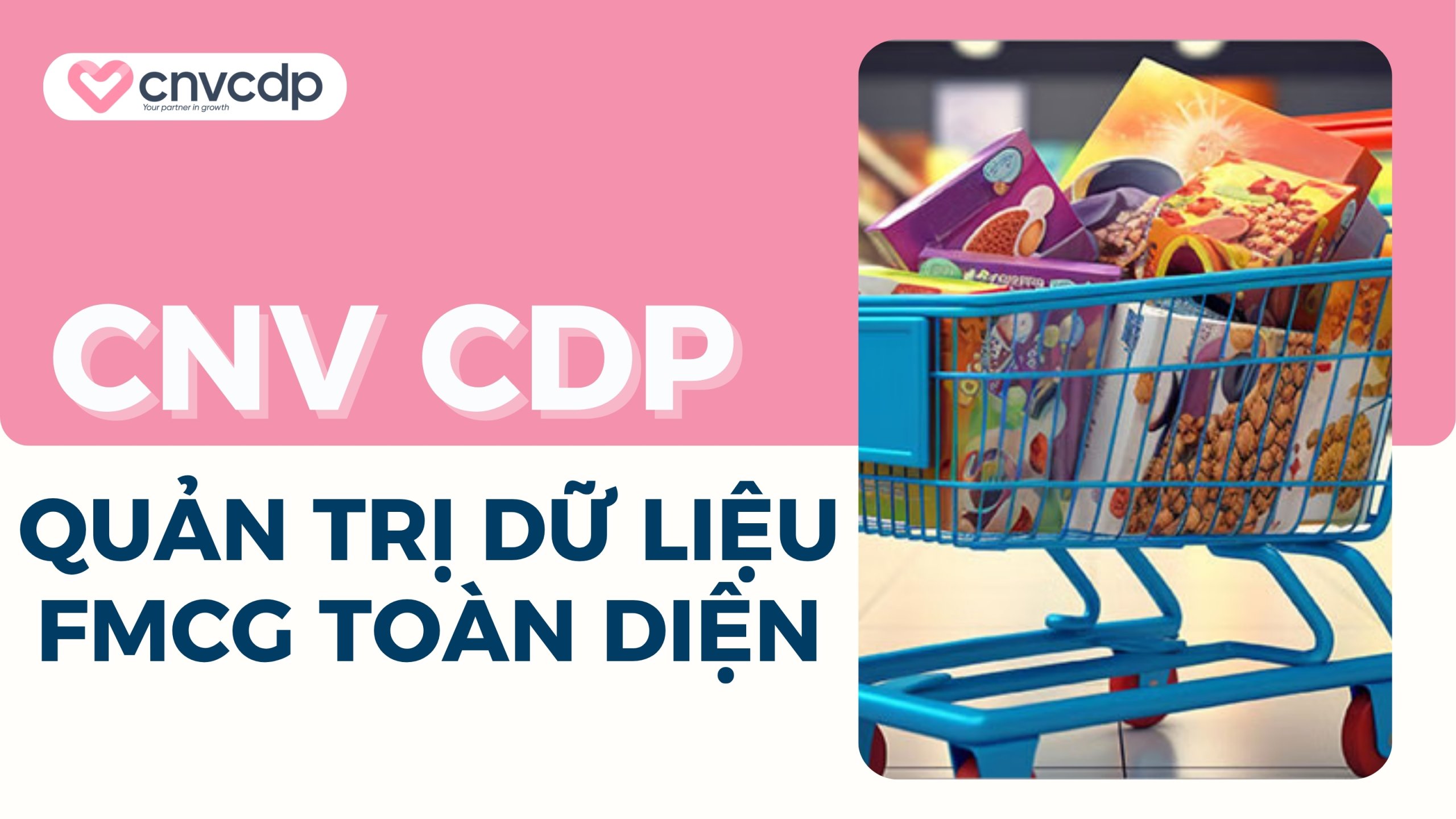 CNV CDP - Giải pháp quản trị dữ liệu FMCG toàn diện