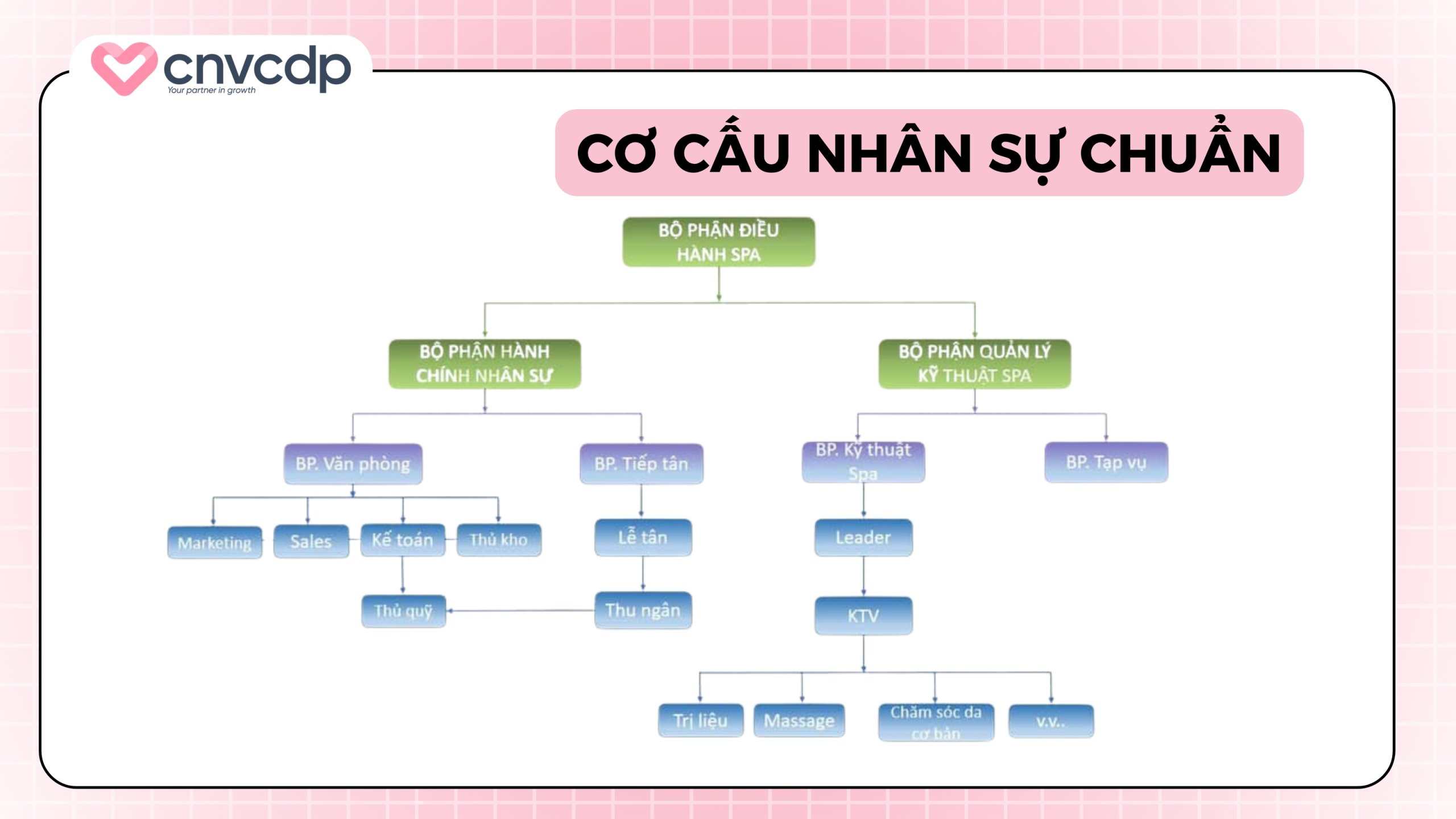 Cơ cấu nhân sự chuẩn trong một spa chuyên nghiệp