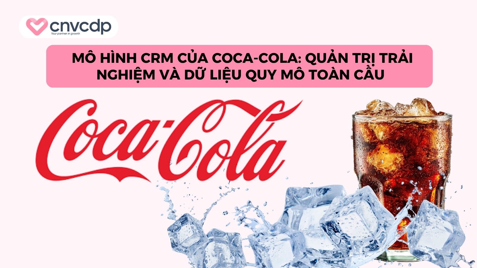 Top 6 mô hình CRM giúp doanh nghiệp tối ưu trải nghiệm khách hàng 12 case study cua coca cola