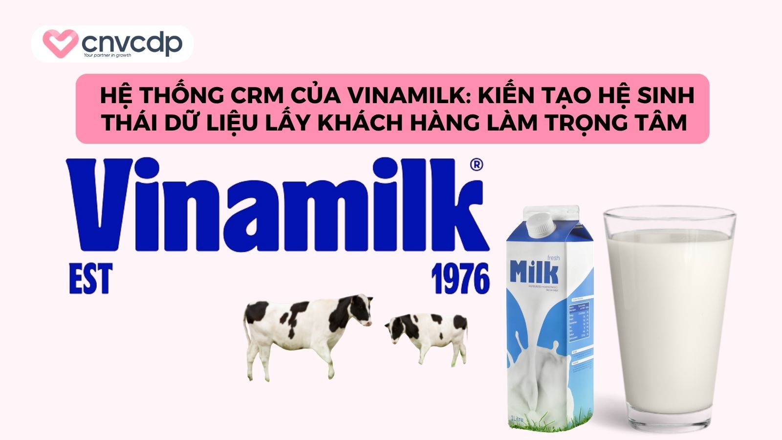 Top 6 mô hình CRM giúp doanh nghiệp tối ưu trải nghiệm khách hàng 13 case study cua vinamilk