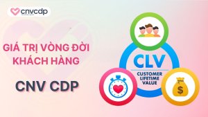 Giá trị vòng đời khách hàng