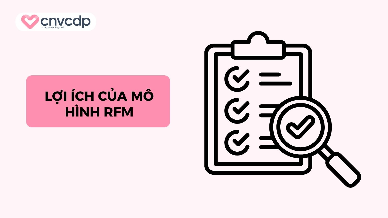 loi ich cua mo hinh rfm 