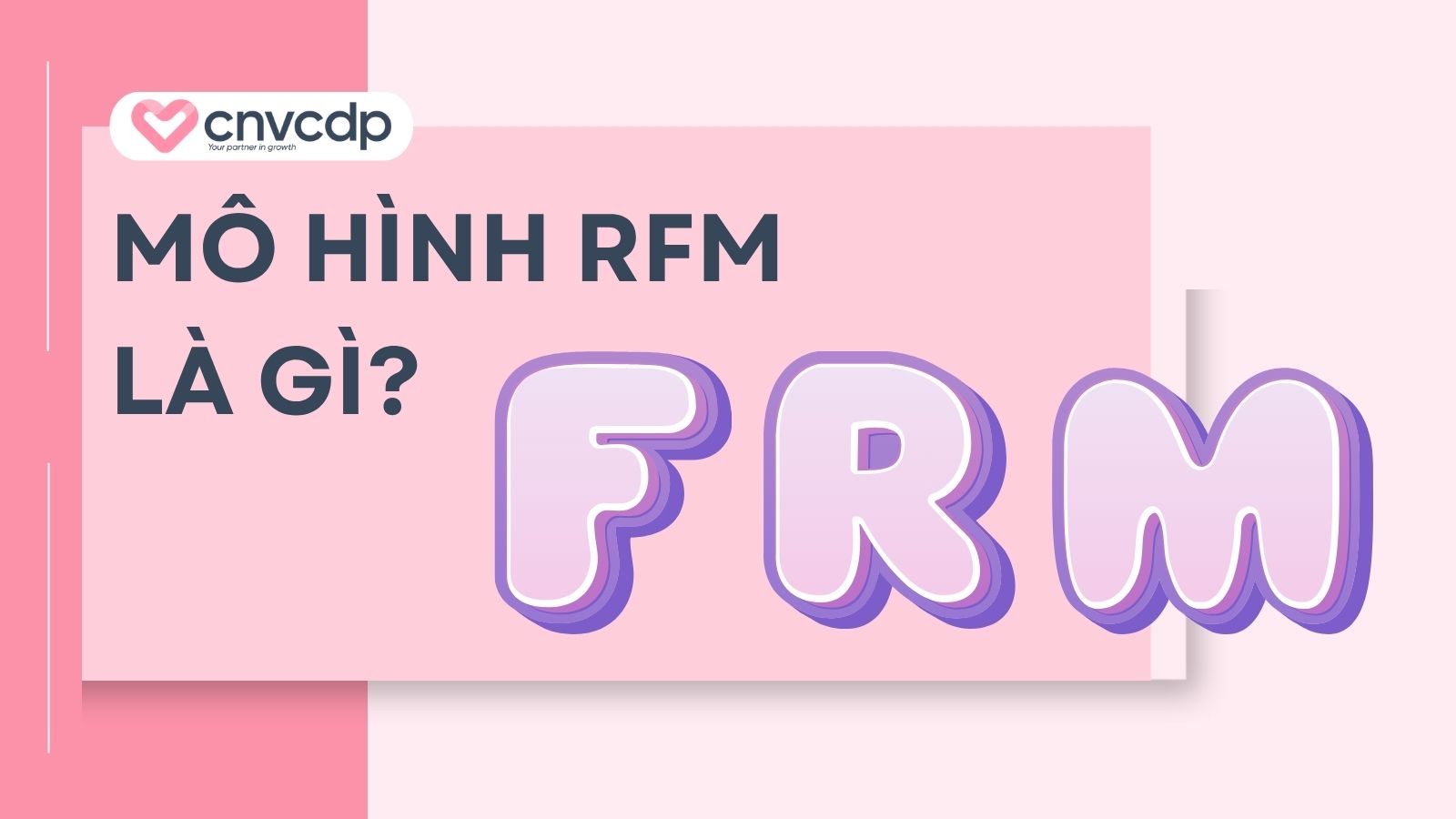 mo hinh rfm la gi 