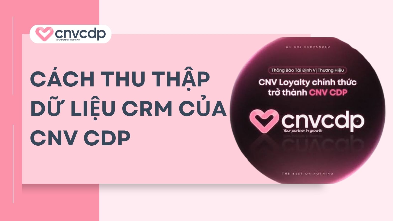 Dữ liệu CRM là gì? 5 loại dữ liệu CRM phổ biến hiện nay 16 cach thu thap du lieu crm cua CNV CDP