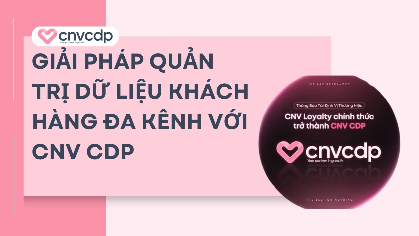 giai phap quan tri du lieu khach hang voi cnv cdp